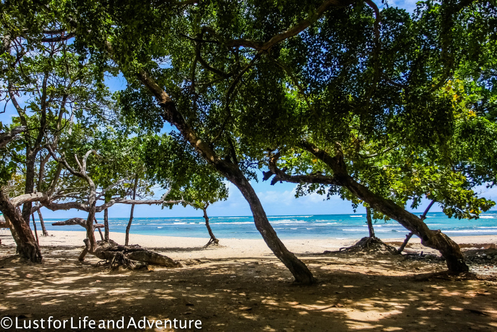 Dominican Republic | Lust for Life and Adventure