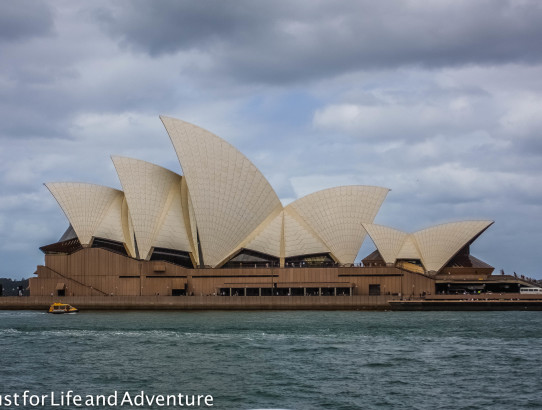 My First Week in Sydney