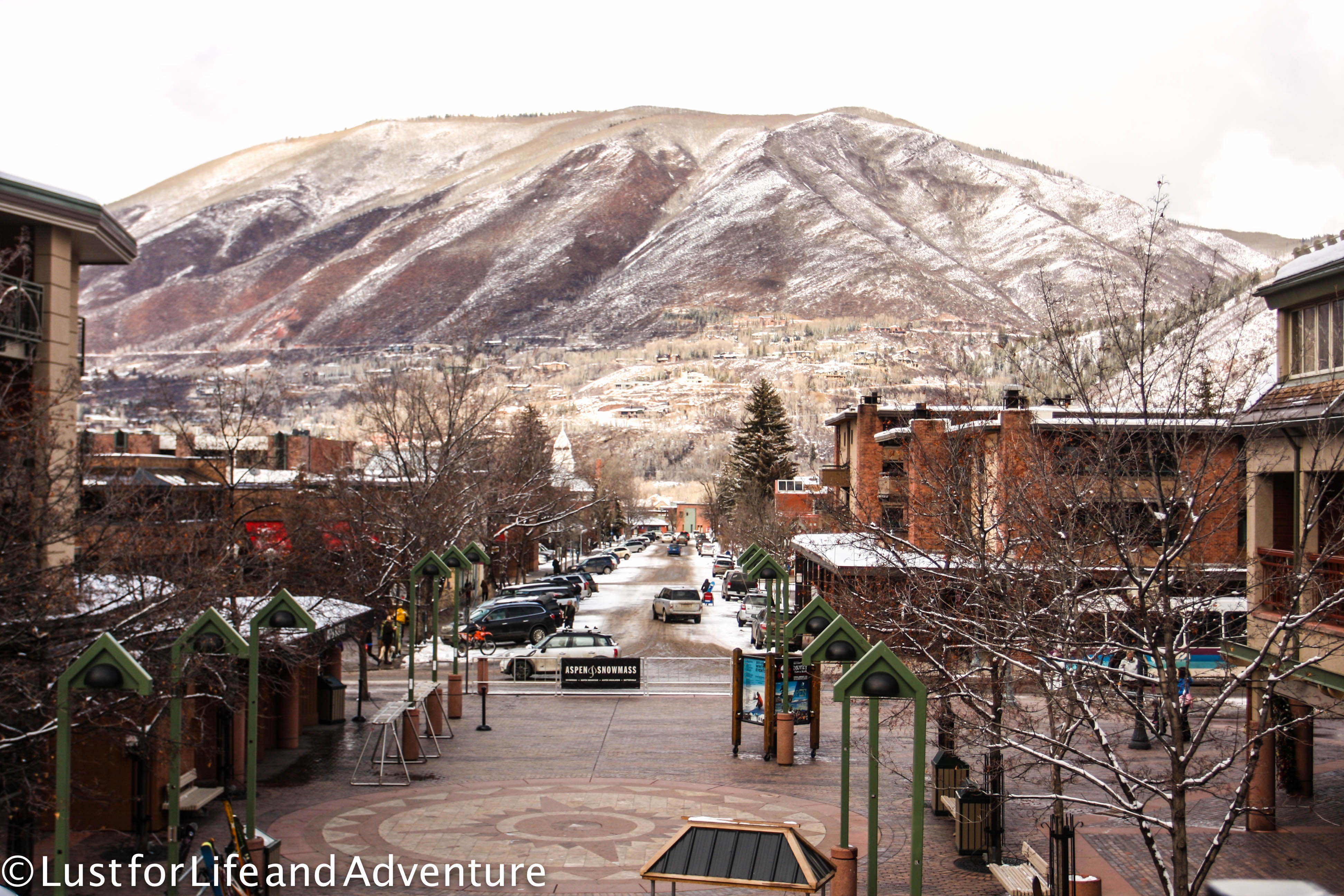 Snowy Aspen