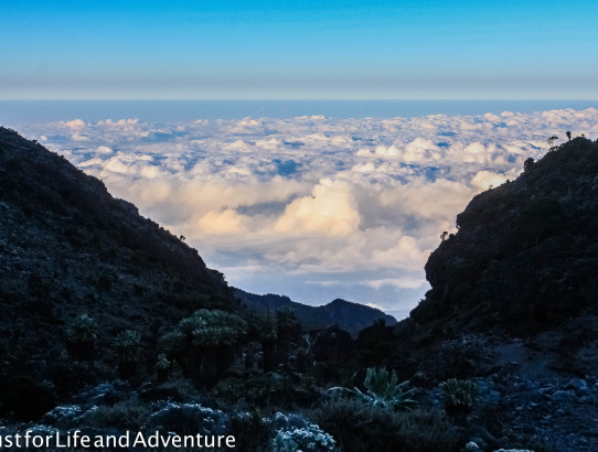 Kilimanjaro Climb Day 4: Lava Tower