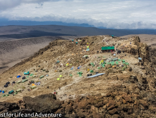 Kilimanjaro Climb Day 5 & 6: Barranco Wall and Acclimatizing