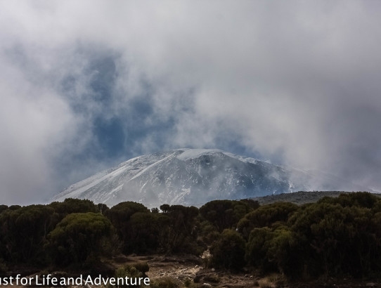 Kilimanjaro Climb Day 7 & 8: The Summit