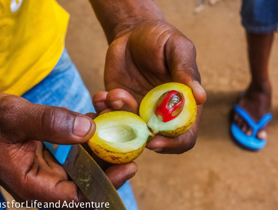 Zanzibar Spice Farm