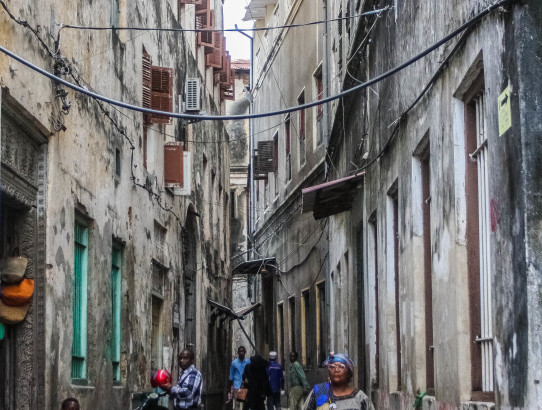 Walking Tour of Stone Town