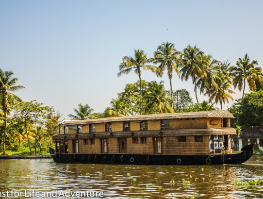 Floating on the Backwaters of Kerala