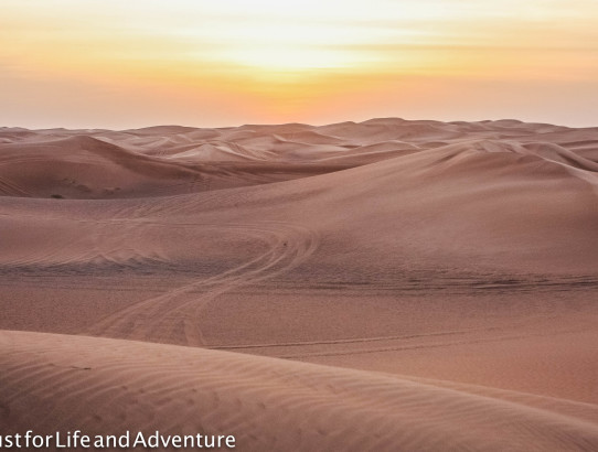 Dune Bashing the Arabian Desert