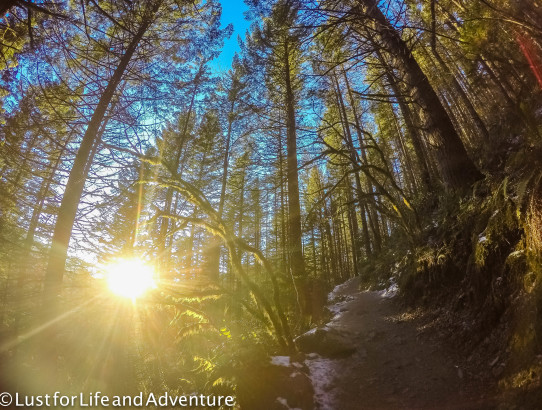 Rainier Training Hike: Rattlesnake Ledge