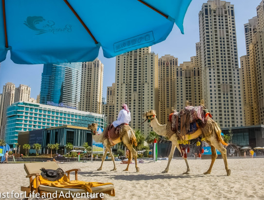 Dubai Nights - Beaches, Souks and Other Miscellany