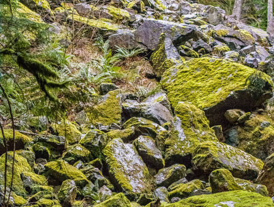 Rainier Training Hike: Little Si