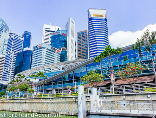 Walking Around Singapore Harbor