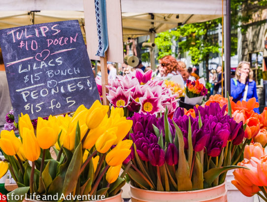 Ballard Farmer's Market