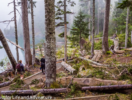 Rainier Training Hike - Lake Serene 2nd and 3rd Attempts