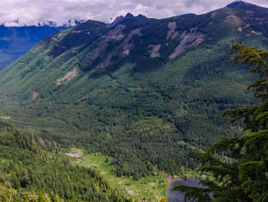 Rainier Training Hike: Dirty Harry's Peak