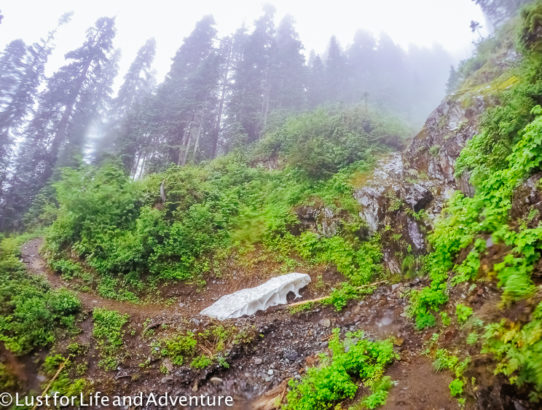 Rainier Training Hike: McClellan Butte