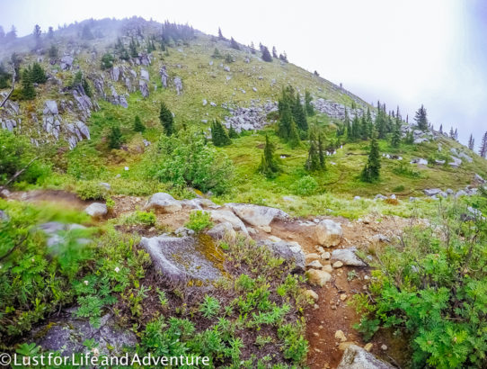 Rainier Training Hike: Granite Mountain