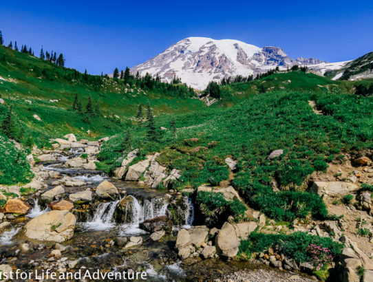 Rainier Reflections - The Agony and the Ecstasy