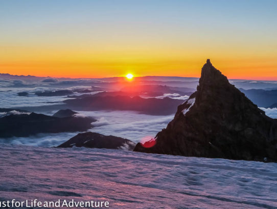 Rainier Day 4: My Personal Summit