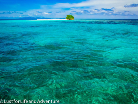 How/Why - Roatan, Honduras