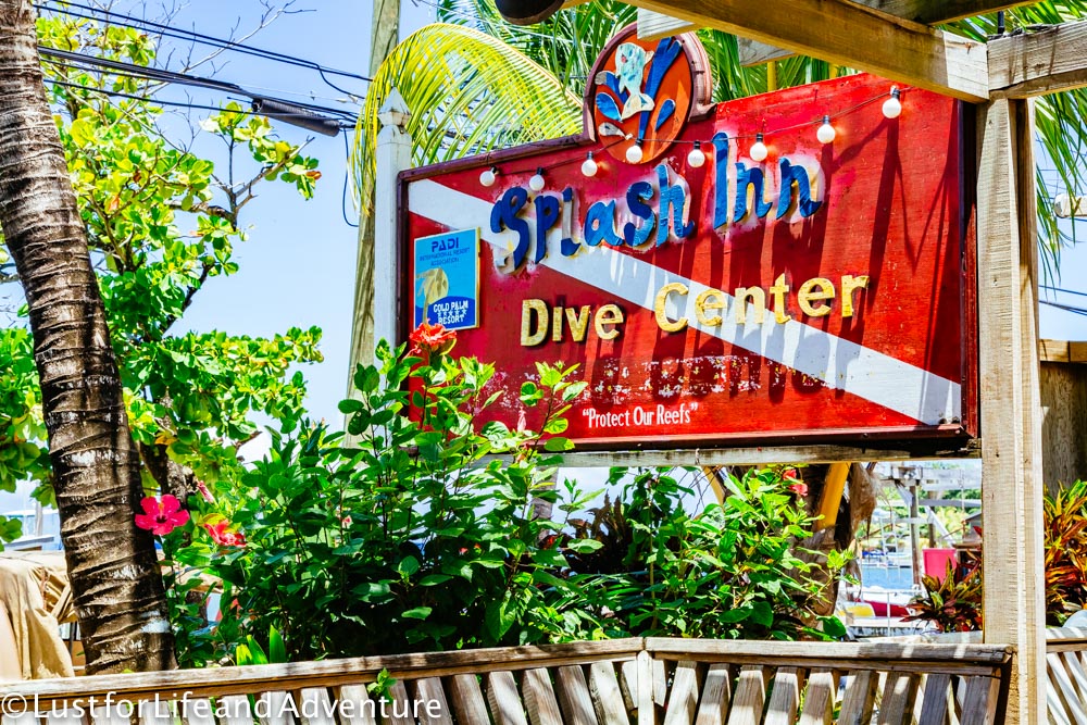 Splash Inn Dive Resort