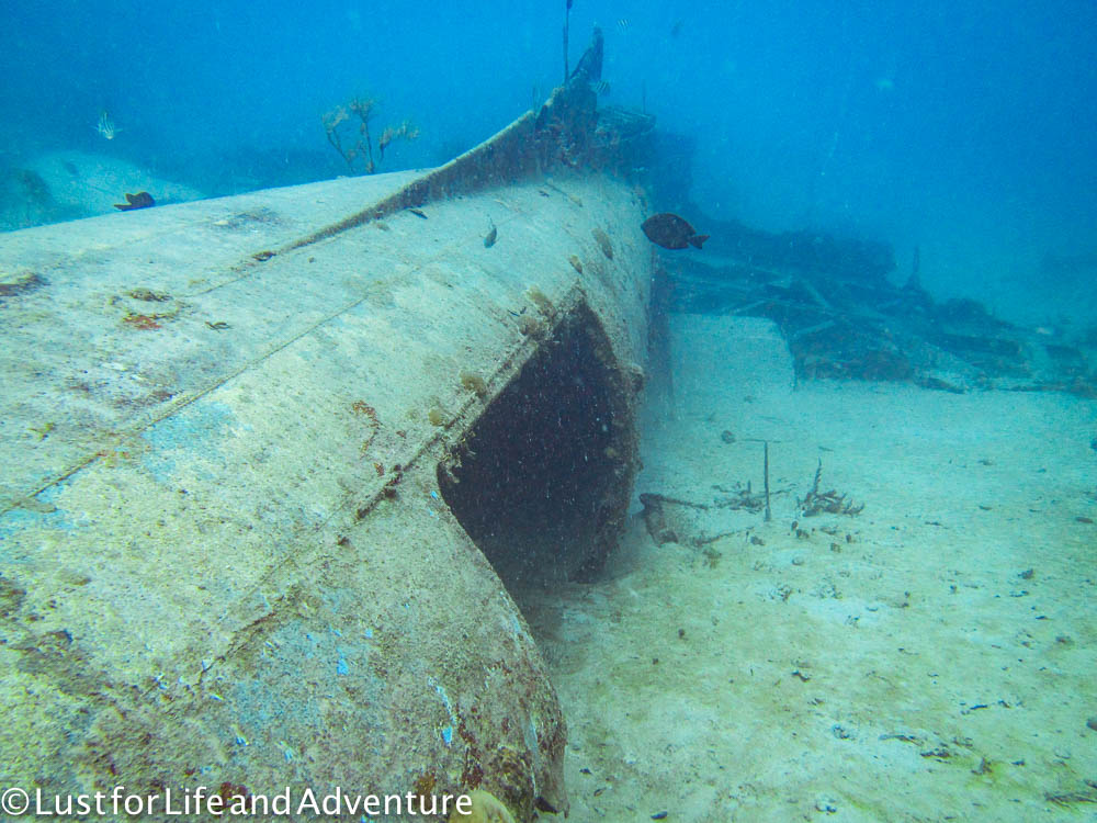 Plane wreck