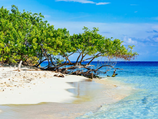 Relaxing on a Deserted Island