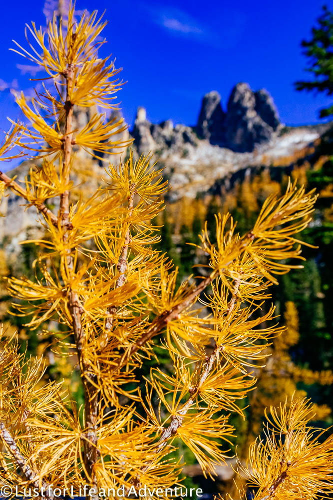 north-cascades-181