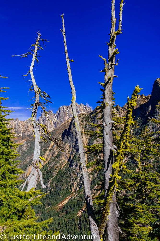 north-cascades-219