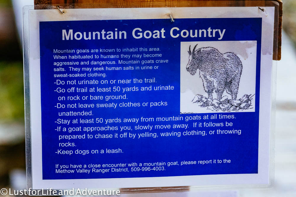 Mountain goat country