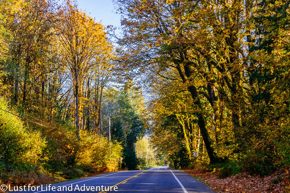 Fall road