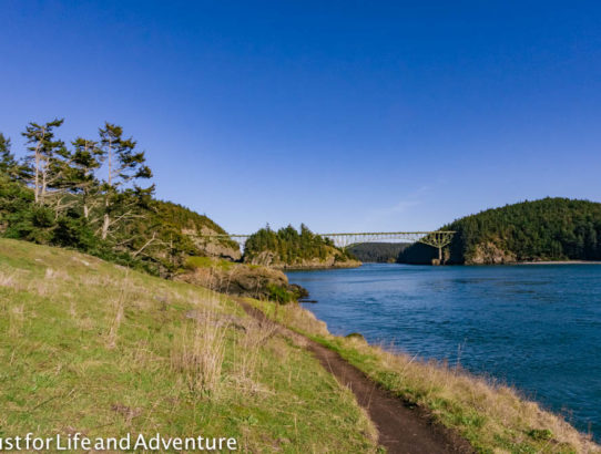 Deception Pass Sunshine Bliss