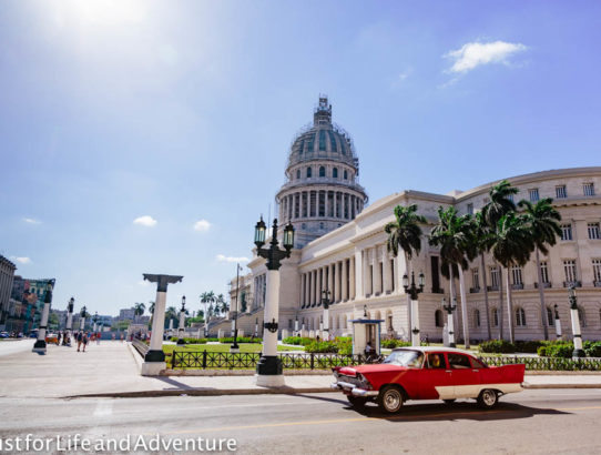 A Bus Tour of Havana