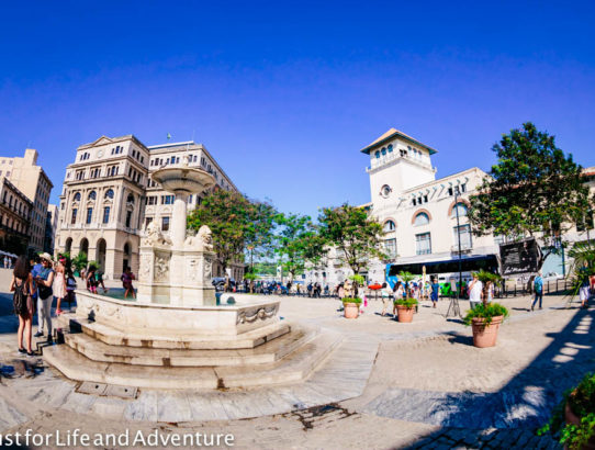 European Vibes in Havana Vieja