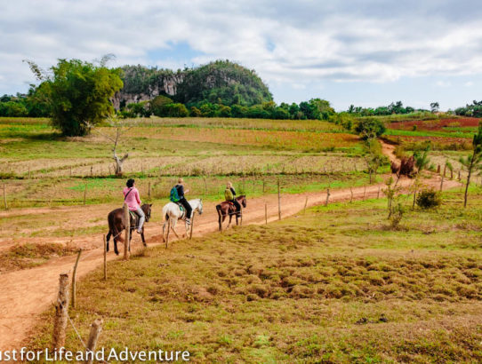 Horseback Riding Through Vinales National Park