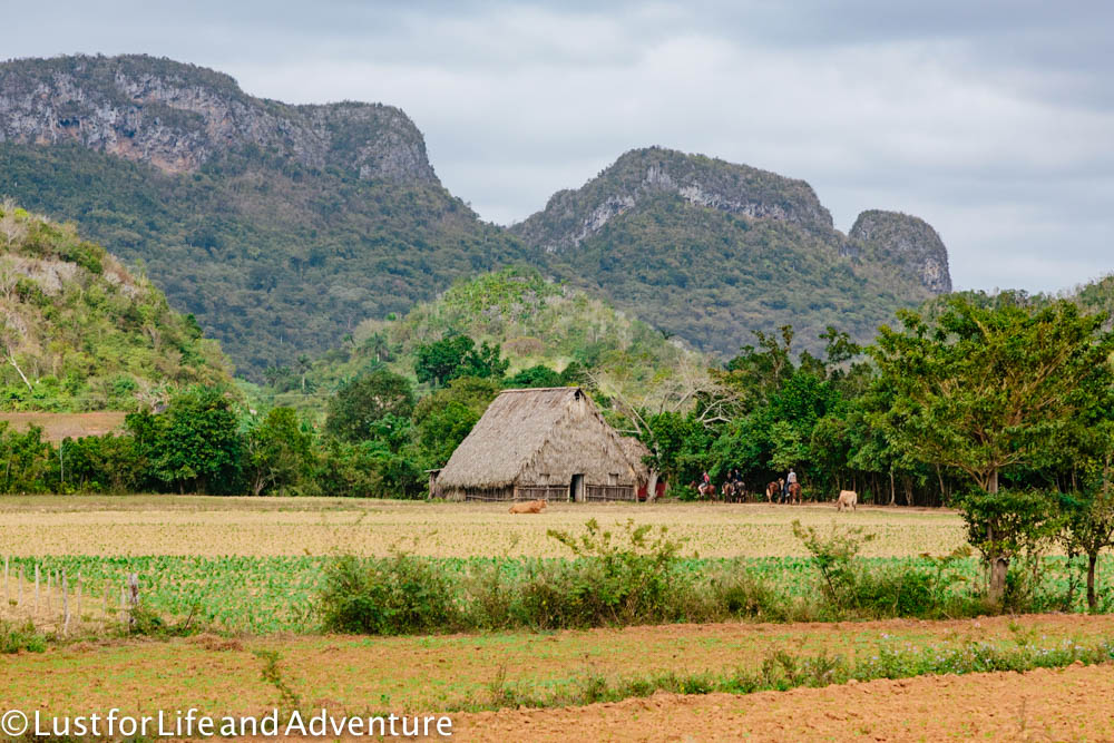 vinales