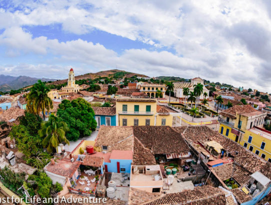 Stellar Views of Trinidad