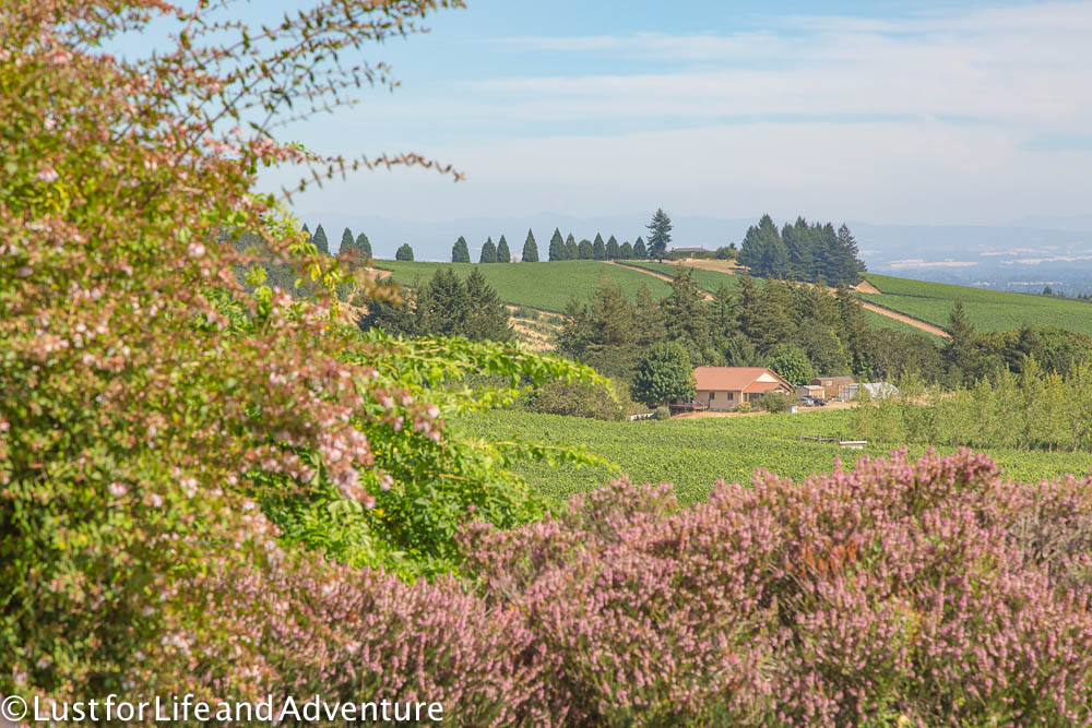 willamette valley