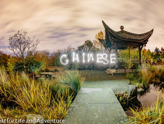 Nighttime at the Chinese Gardens