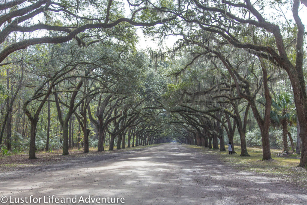 Wormsloe Plantation